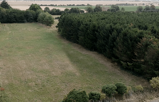 Plot with PP for sale in Fowlmere photo